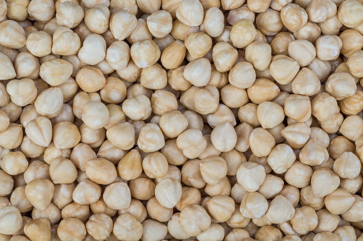 250 gr kavrulmuş fındık
